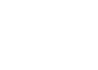 Website Development